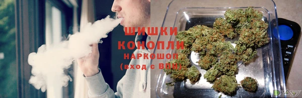 гидропоника Карталы