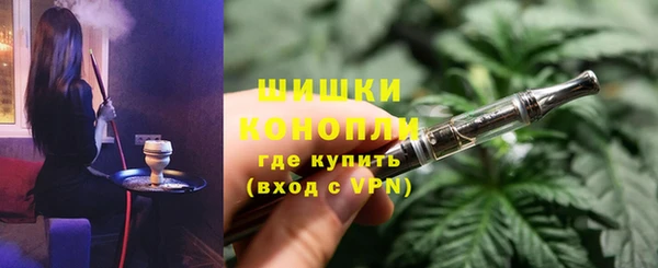 сатива Касимов