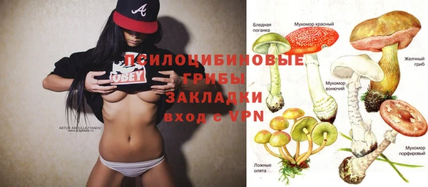 гидропоника Карпинск