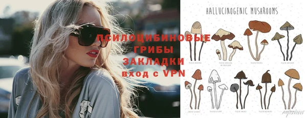 гидропоника Карпинск
